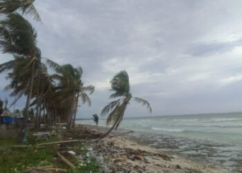 Tetap Waspada! Ini Trik Menghindari Sambaran Petir Saat Musim Hujan